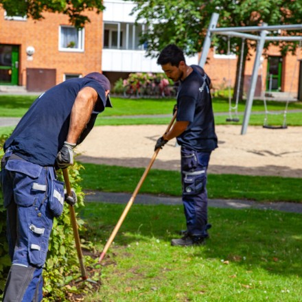 Flitiga medarbetare fixar utemiljön på Gamlegården