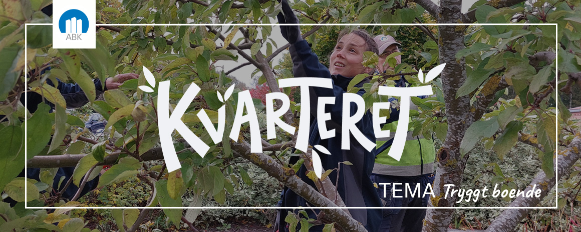 Headerbild - TEMA Tryggt boende