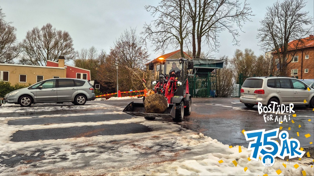 här planterar vi träd